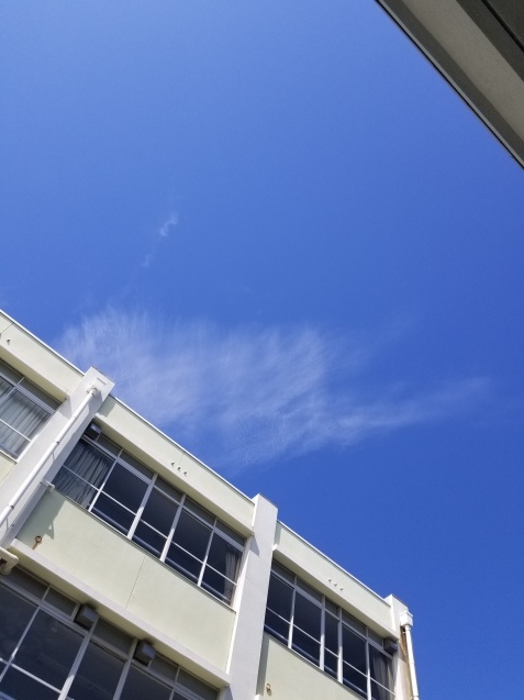 c0333823_11135330.jpg