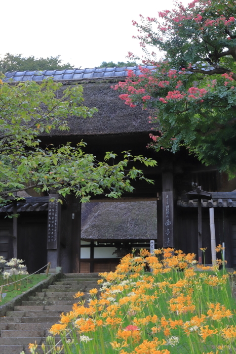 【西方寺】_f0348831_08252821.jpg