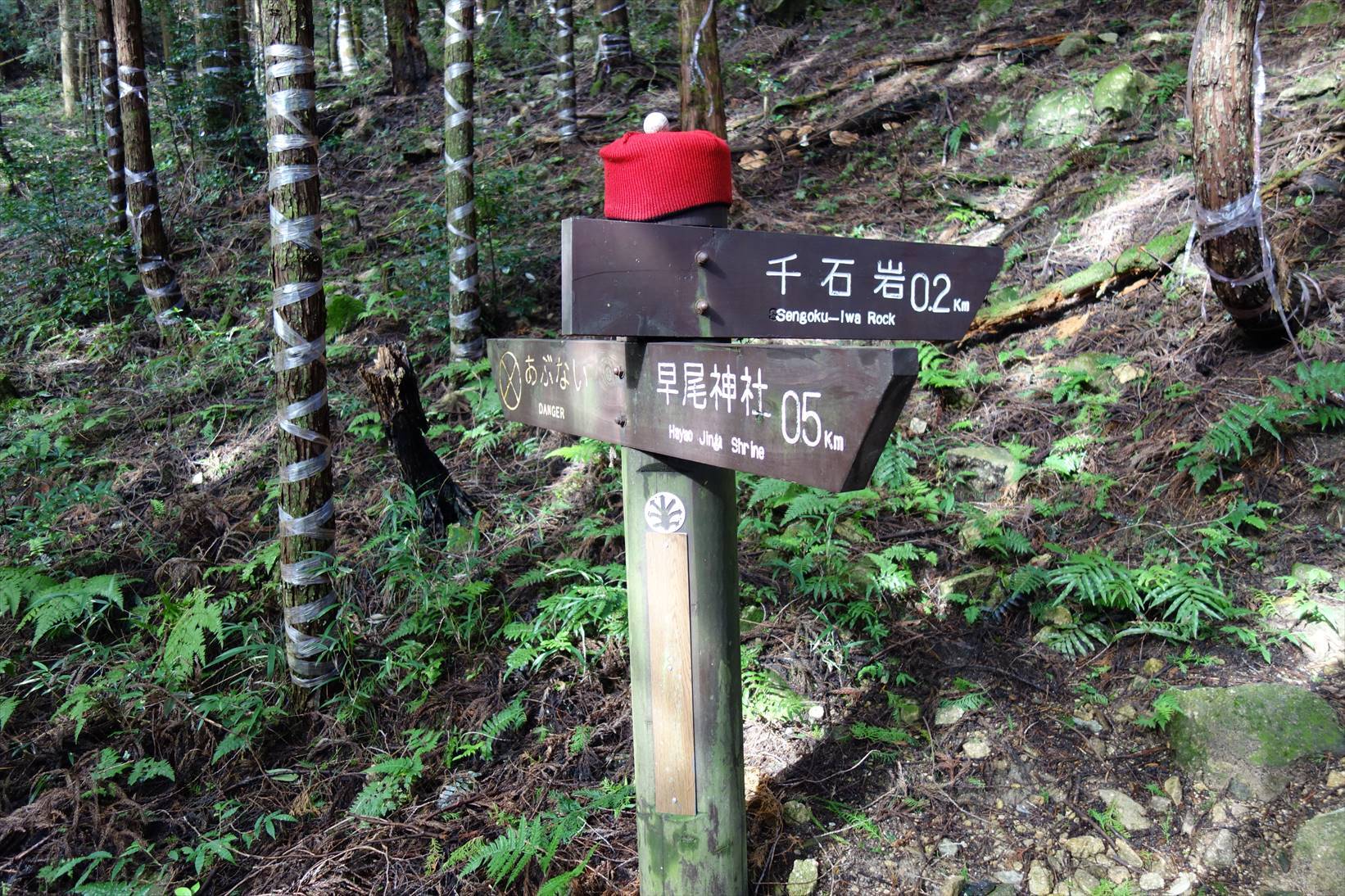 f0348933_19241889.jpg