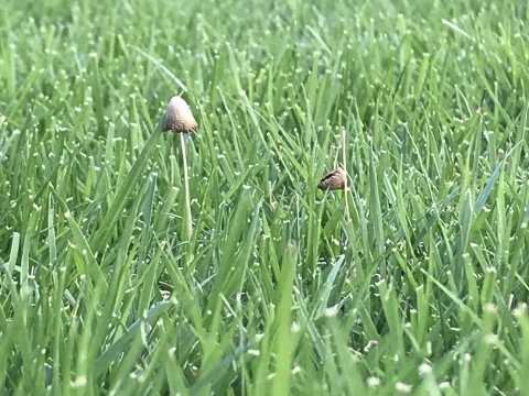 a0317236_07454103.jpeg
