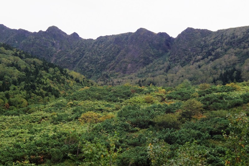 d0347140_10392497.jpg