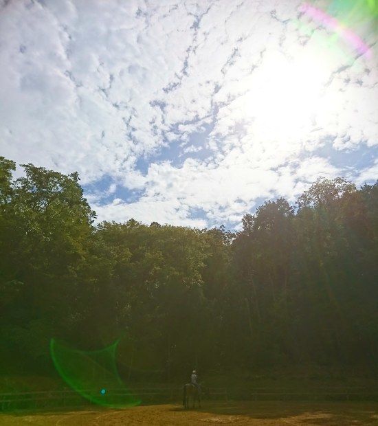 e0145441_20044119.jpg