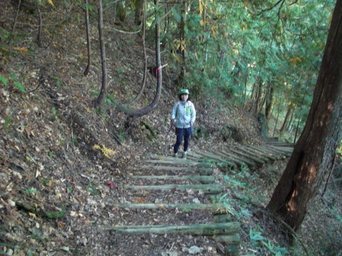 秋の登山用調光サングラス_e0304942_11023616.jpg