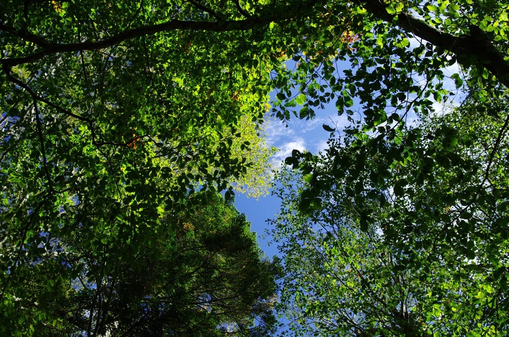 c0077847_20504088.jpg