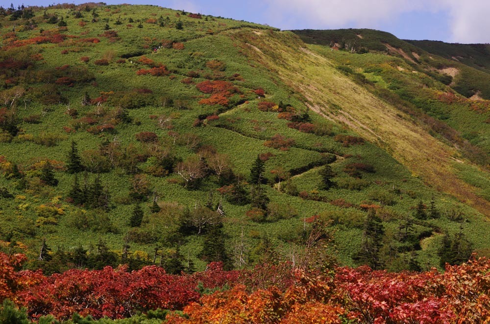 c0077847_20511315.jpg