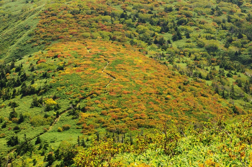 c0077847_20514839.jpg