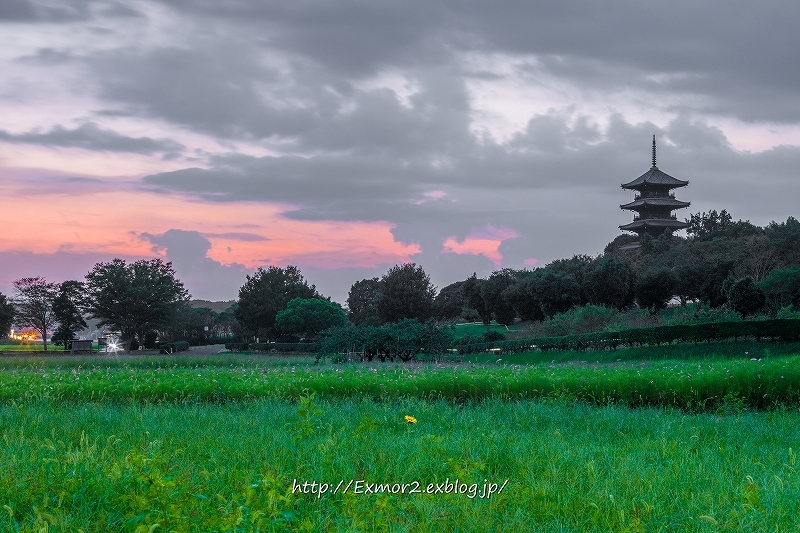 備中国分寺初秋_f0368258_00310758.jpg