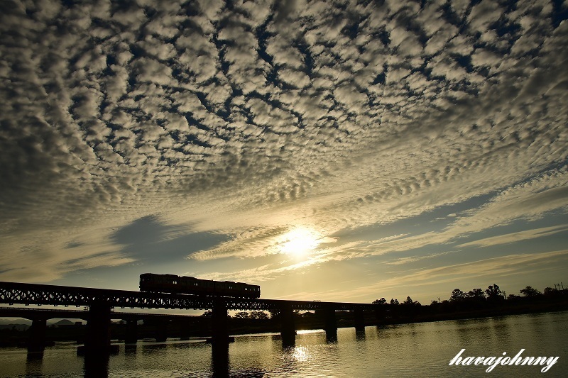 c0173762_20430505.jpg