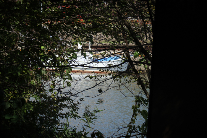 c0183164_13372827.jpg