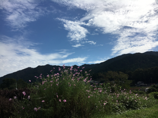 欲張り休日_f0363168_20122093.png