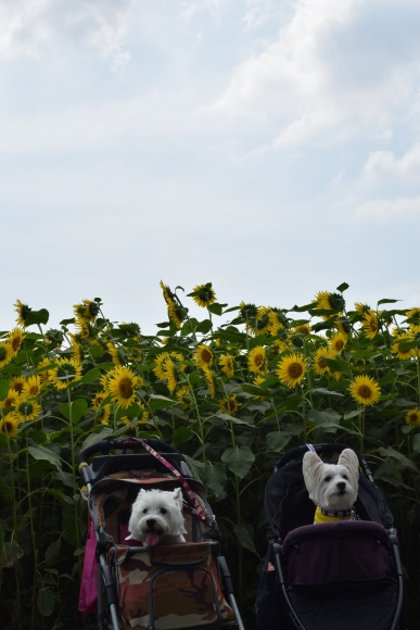 b0242873_00014829.jpg