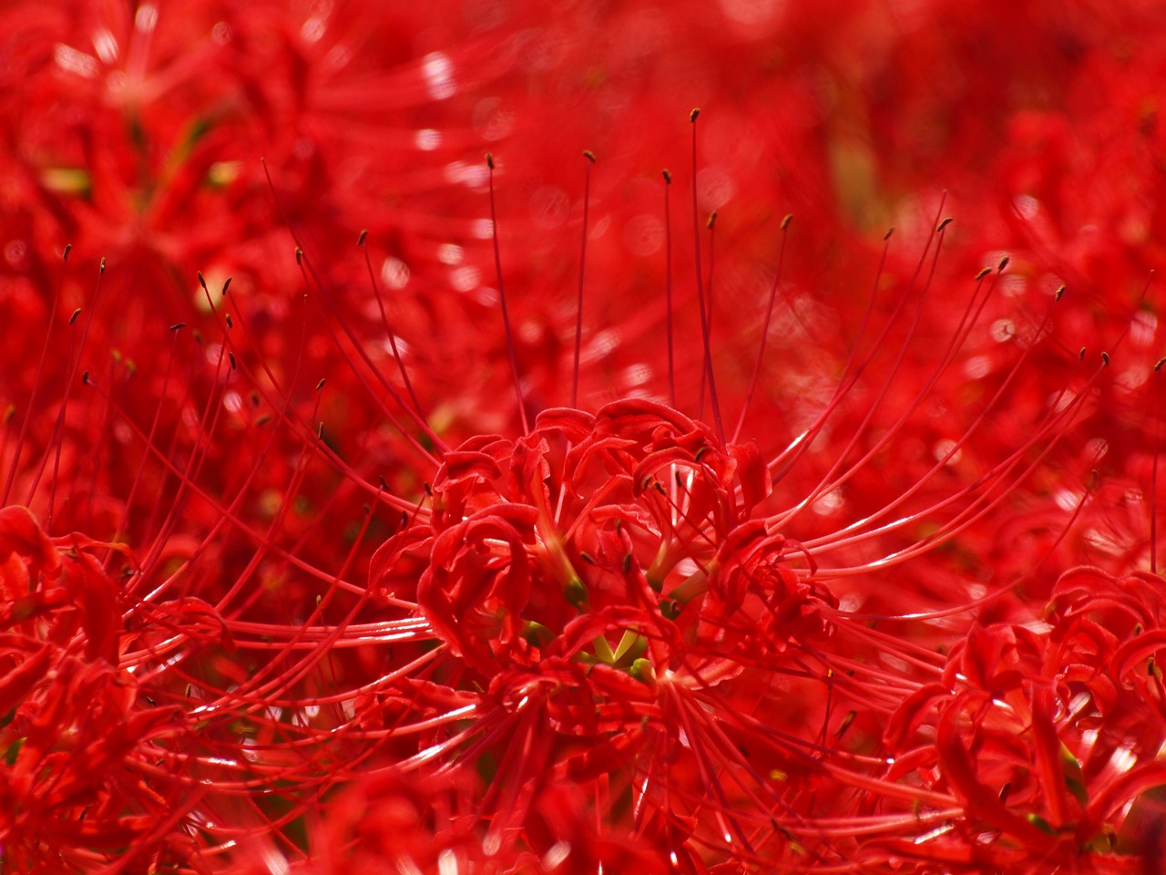 d0054276_20121569.jpg