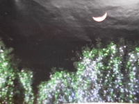 f0222378_10482678.jpg