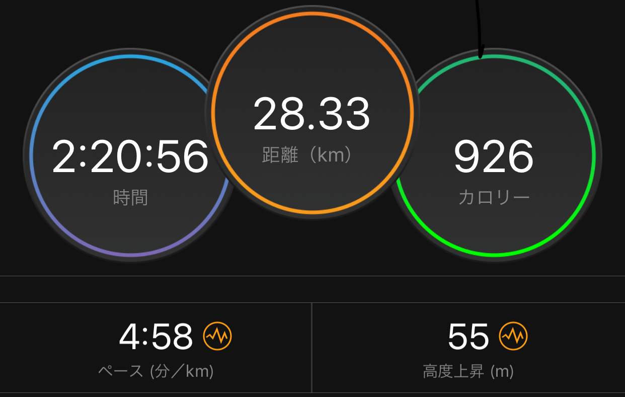 セット練ロングジョグと今日は運動会_f0310282_23125575.jpeg