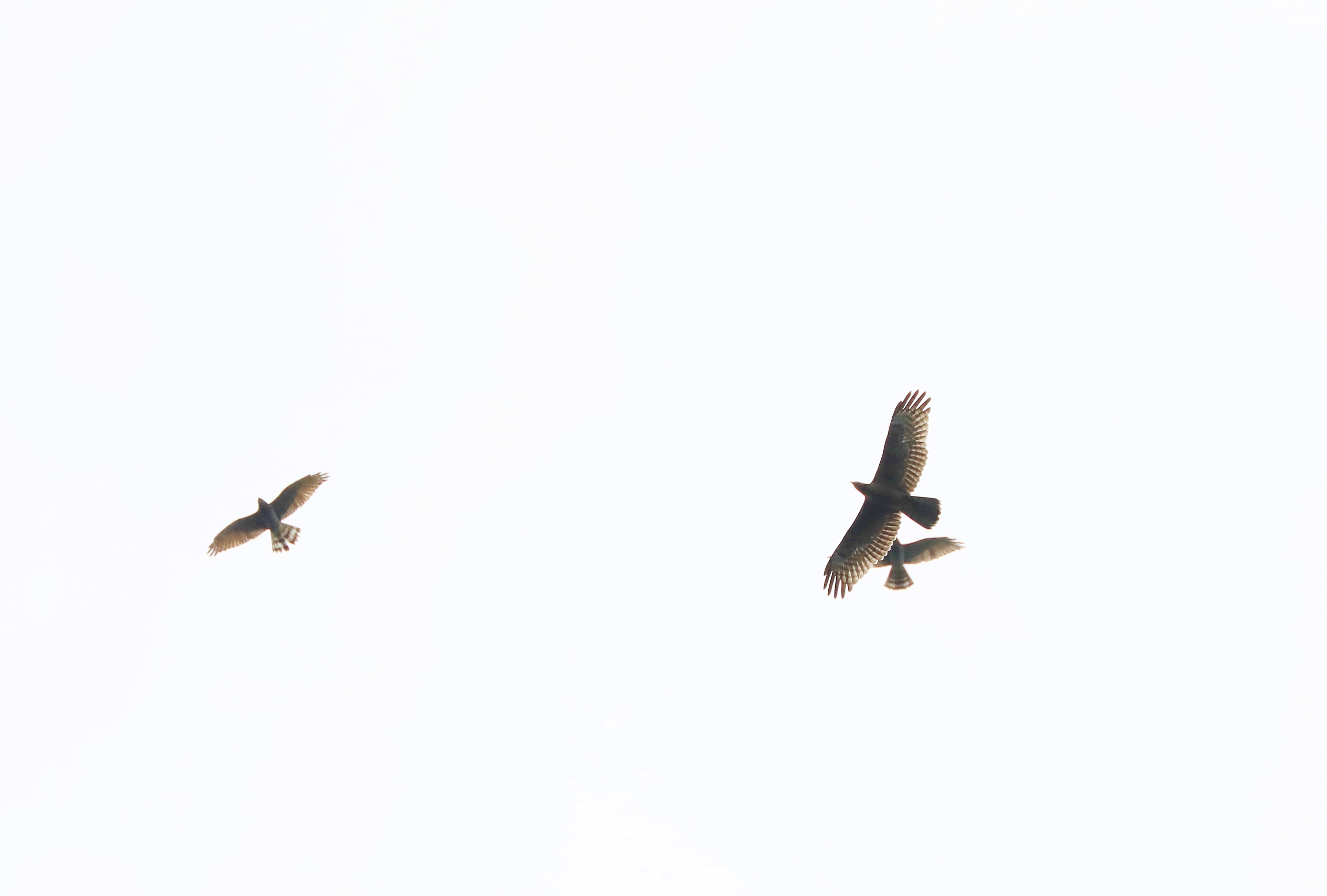 f0378282_19310714.jpg
