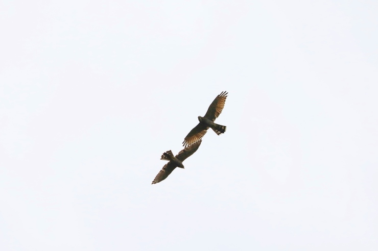 f0378282_19340938.jpg