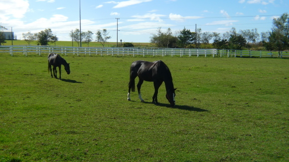 c0212083_16564023.jpg