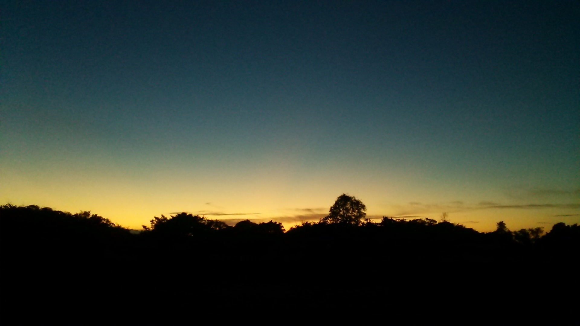 c0212083_18003114.jpg