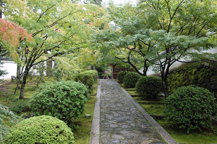 f0068687_20350089.jpg