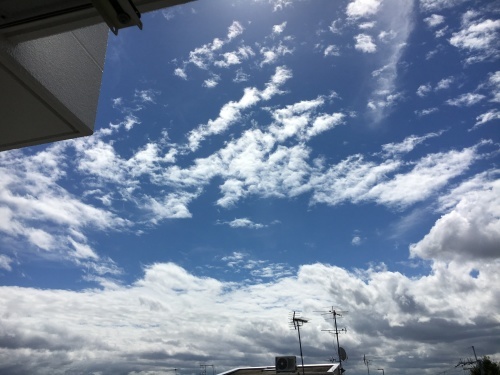 f0347891_09162018.jpeg