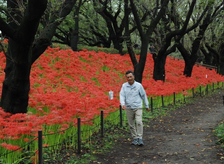 幸手の権現堂公園へ_d0153294_21071362.jpg