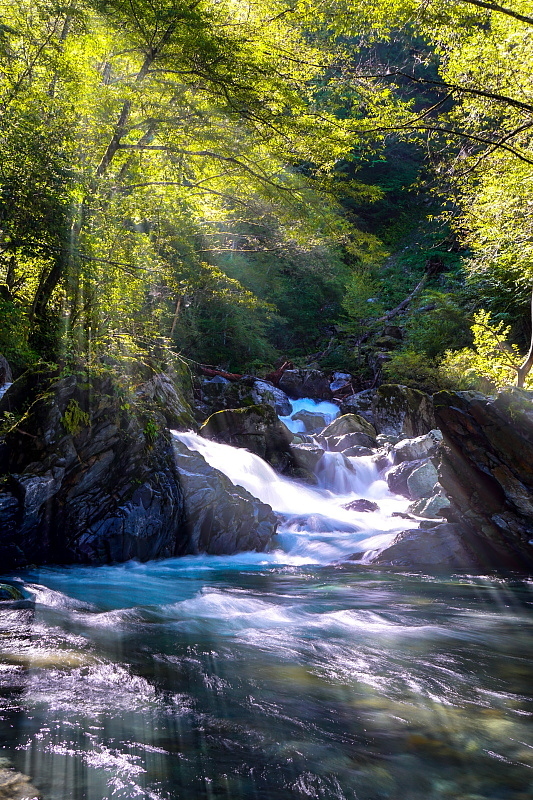 c0339900_15183286.jpg