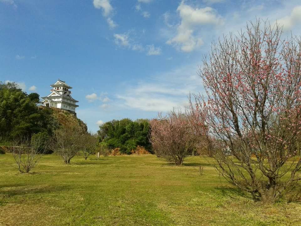 c0072801_42294.jpg
