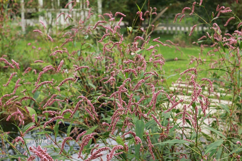 a0123003_10500461.jpg