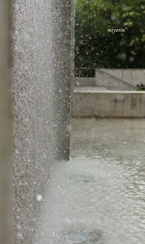 a0123003_10572628.jpg