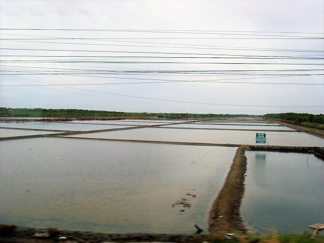 c0112206_20381883.jpg