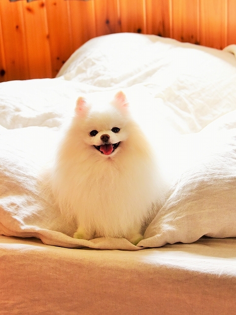 最近の困りごと_d0360206_02142587.jpg