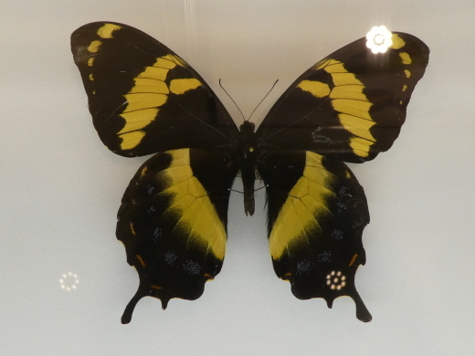 c0062511_21311844.jpg