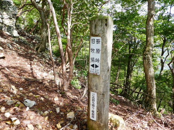d0170615_11065426.jpg