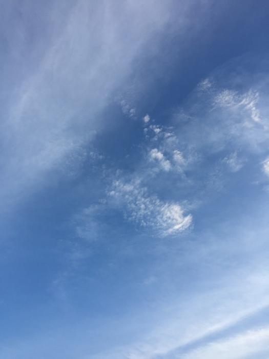 a0251116_20014960.jpeg