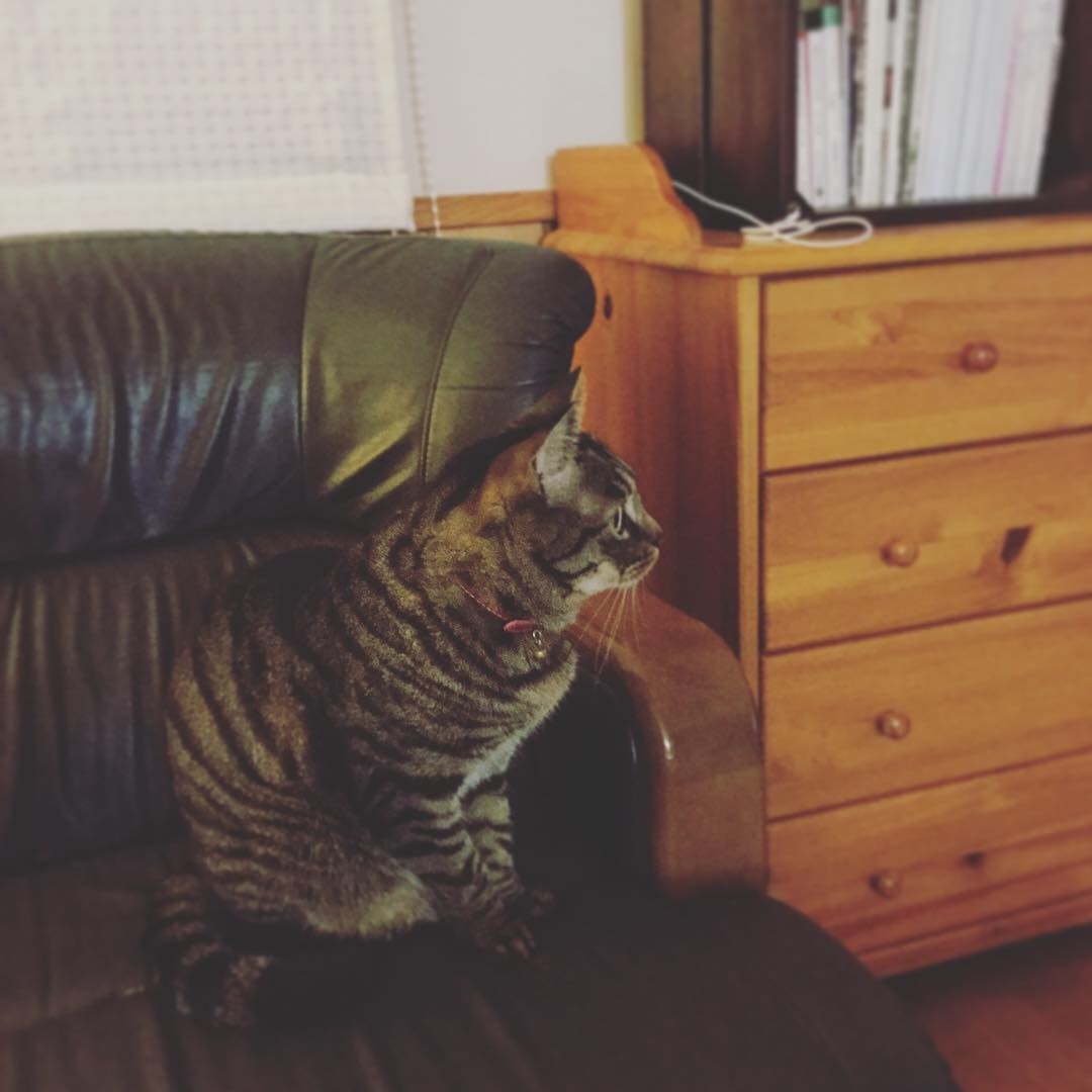 e0052716_09470651.jpeg