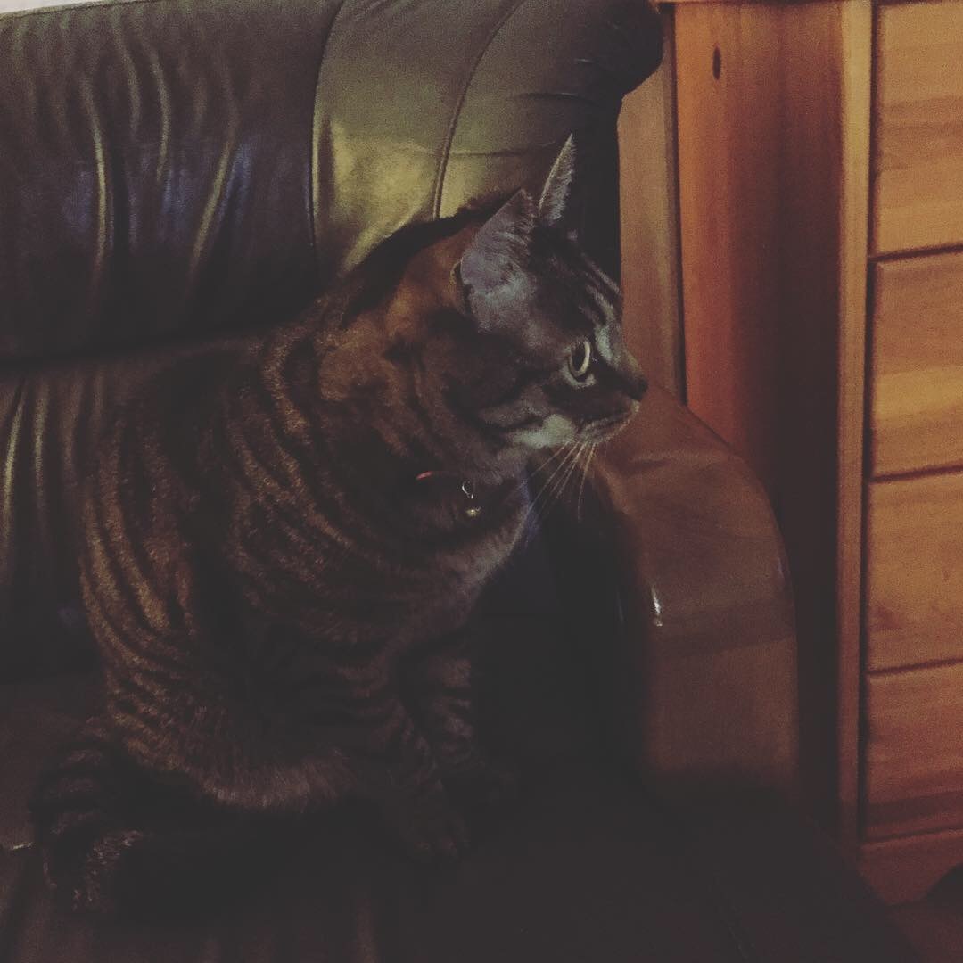 e0052716_09471649.jpeg