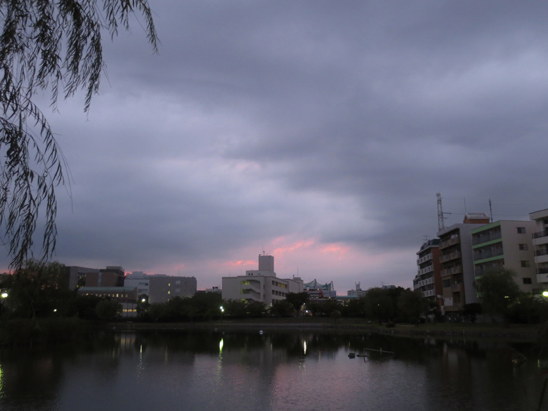  ■夕暮れの「曙光」、たまさかの希望――週替わりの夕暮れ［9/22・24］_d0190217_21303778.jpg