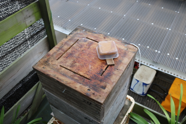 f0176521_10473661.jpg