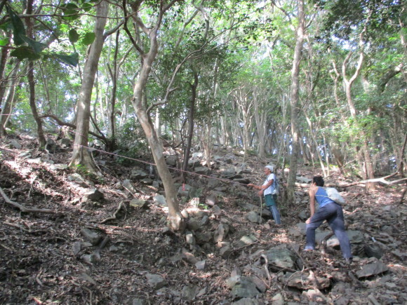 d0360922_01142819.jpg
