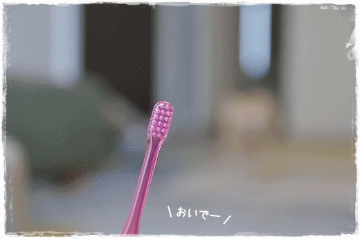 d0179828_19000314.gif