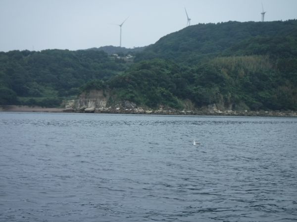 c0222430_18520229.jpg