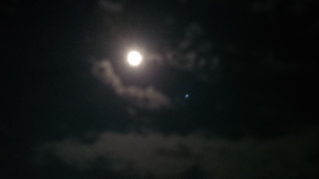 e0137130_23014893.jpg