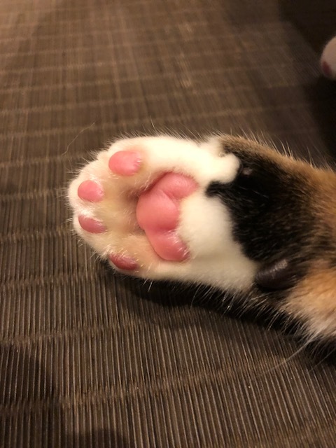 f0102133_02232937.jpeg