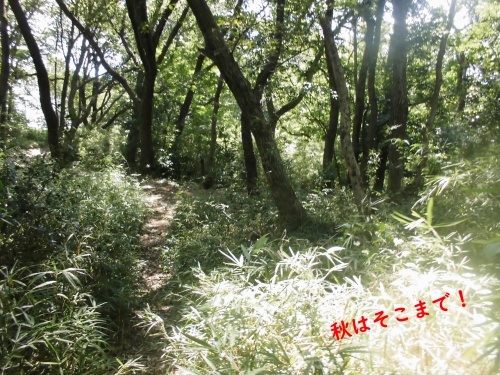 f0120433_12332795.jpg