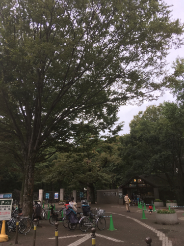 植物と園芸品売り場が小さくなったのが残念です Cafe Mimi 吉祥寺南町のフレンチカフェ 雑貨