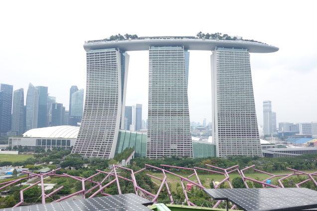 d0370737_17453114.jpeg