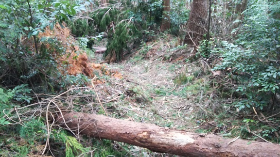c0077338_17514132.jpg