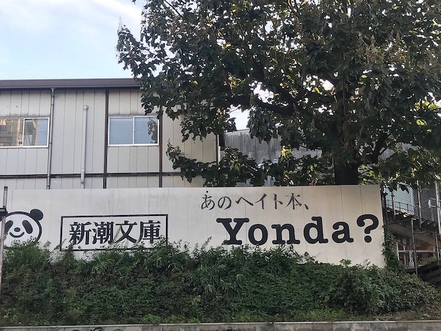 ホワイトな気分　で　、、_d0364239_19125250.jpg