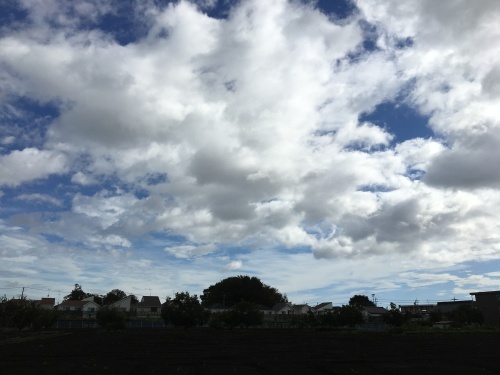 b0330040_22172213.jpeg