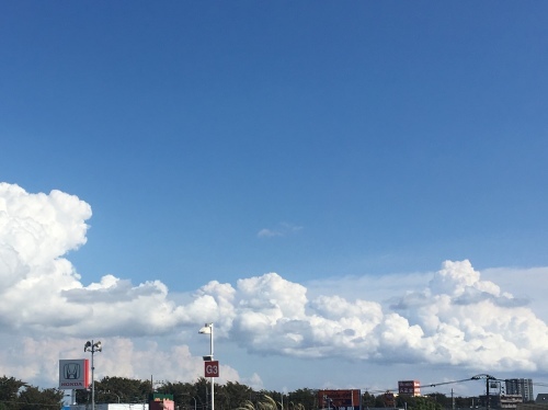 b0330040_22312660.jpeg
